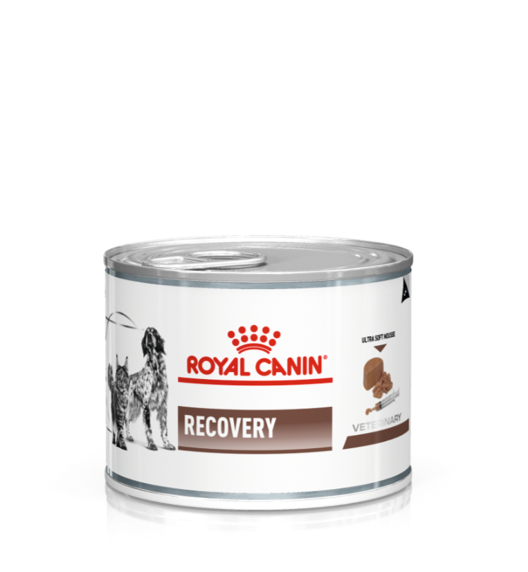 Royal Canin Recovery for Dogs and Cats Canned Vet Central