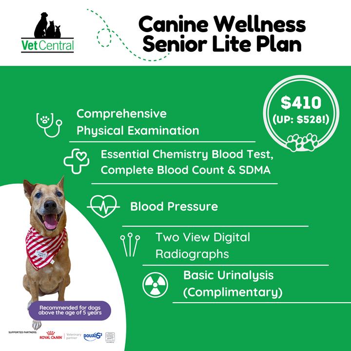 Canine Wellness Plans