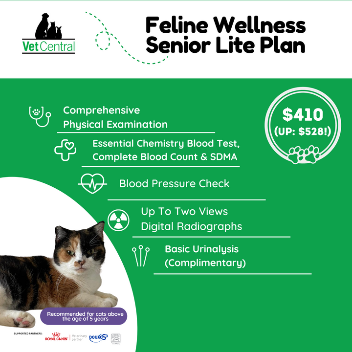 Feline Wellness Plan