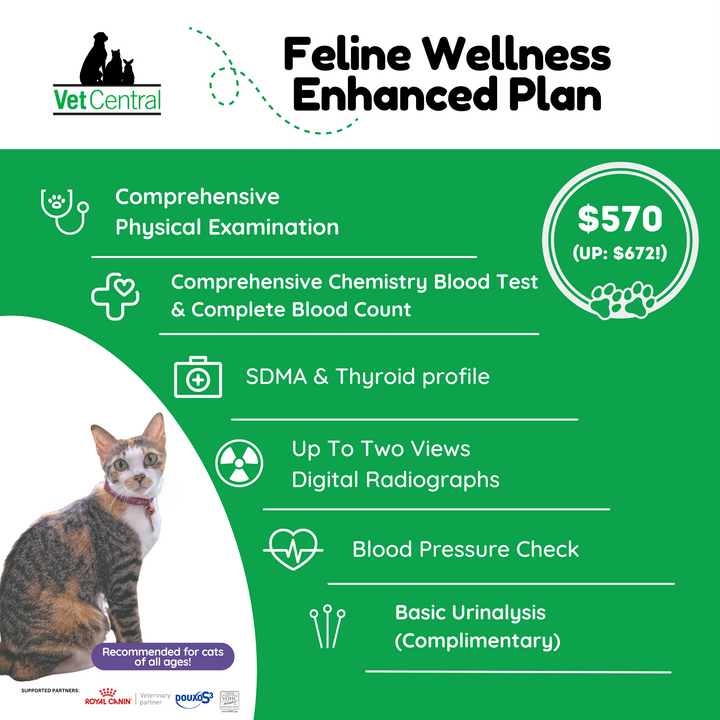 Feline Wellness Plan