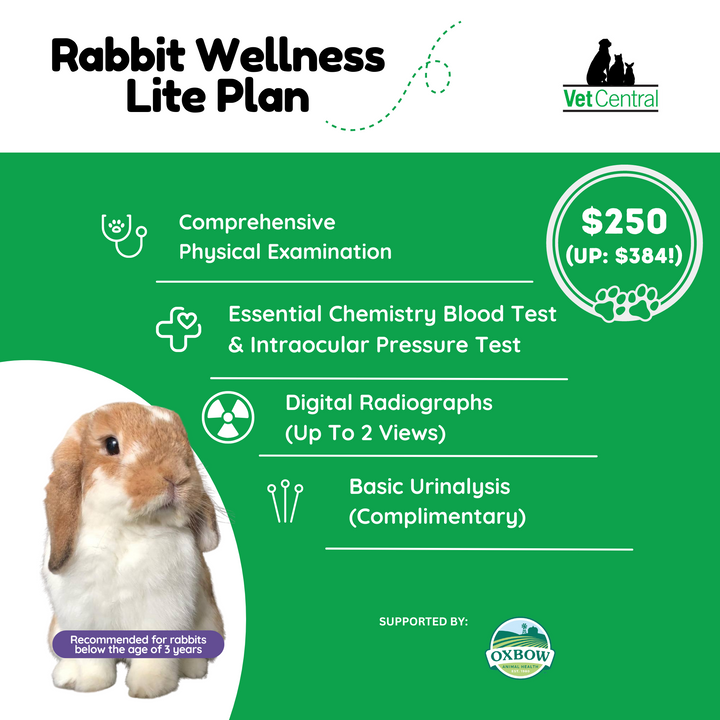 Rabbit Wellness Plan
