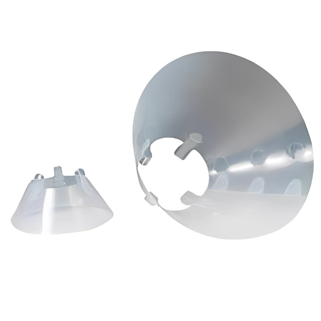 Buster Transparent eCollar