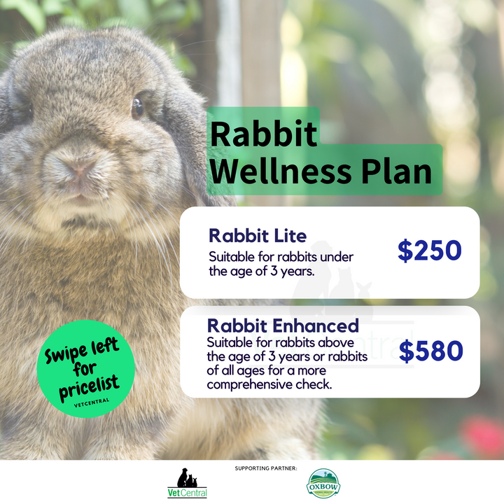 Rabbit Wellness Plan