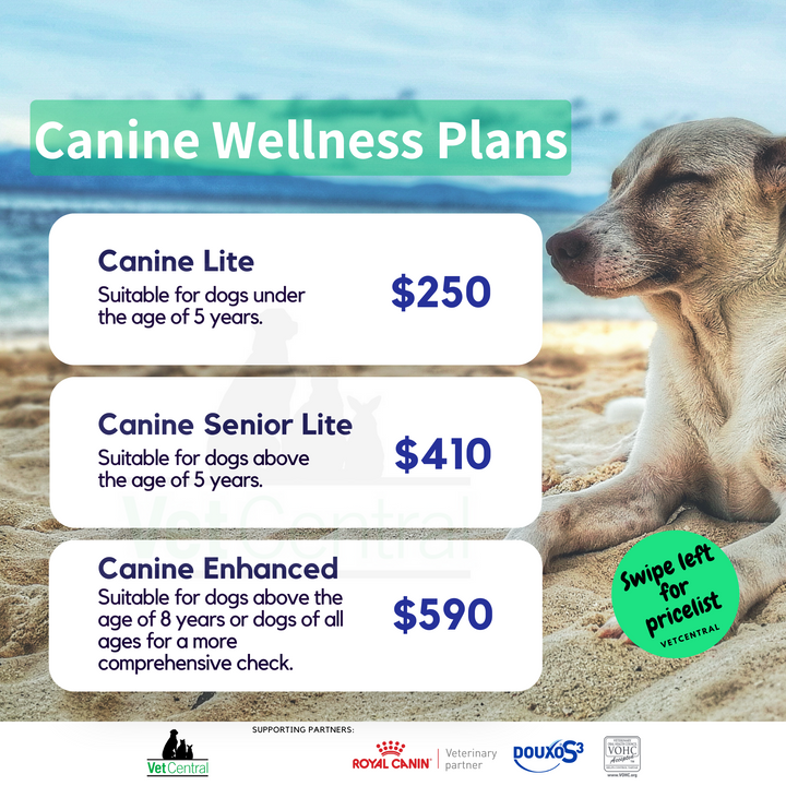 Canine Wellness Plans