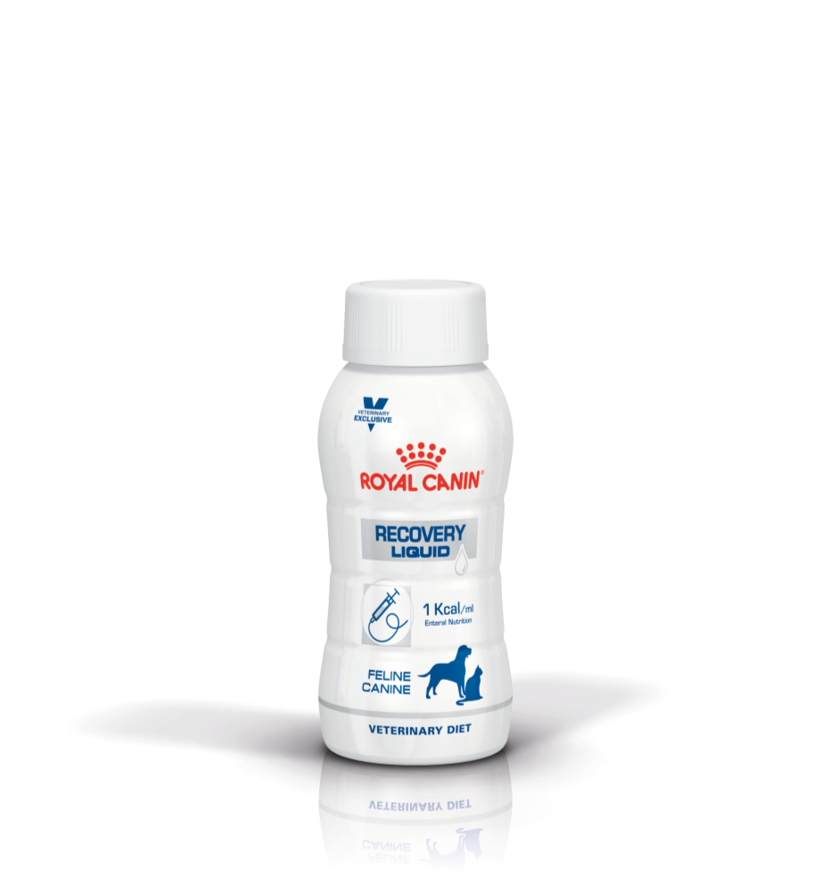 Royal Canin Canine/Feline Recovery Liquid Cluster