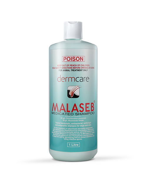 Where Can I Buy Malaseb Dog Shampoo? Ultimate Guide