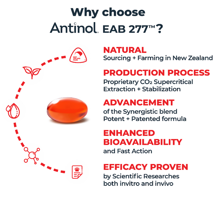 Antinol Plus for Dogs