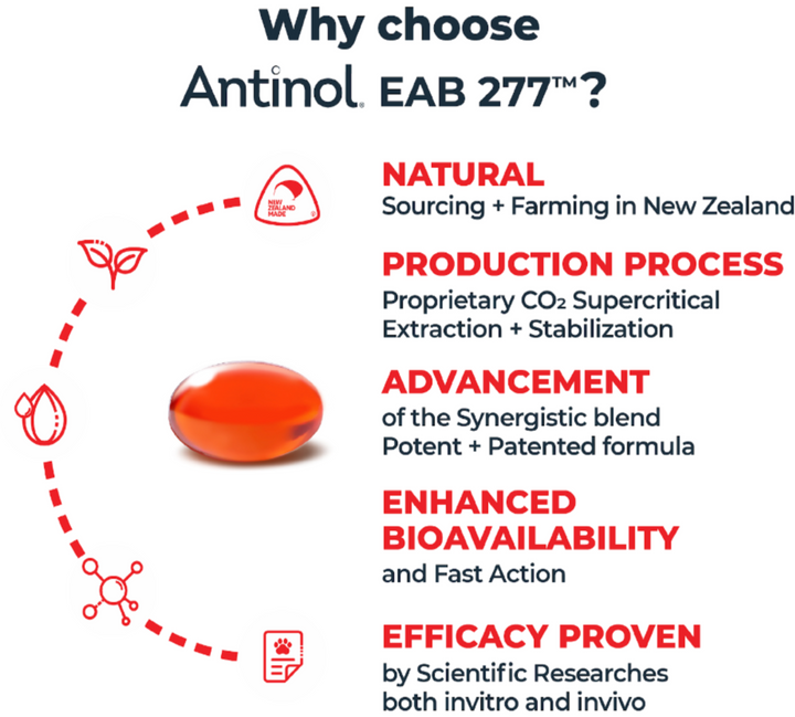 Antinol Plus for Cats