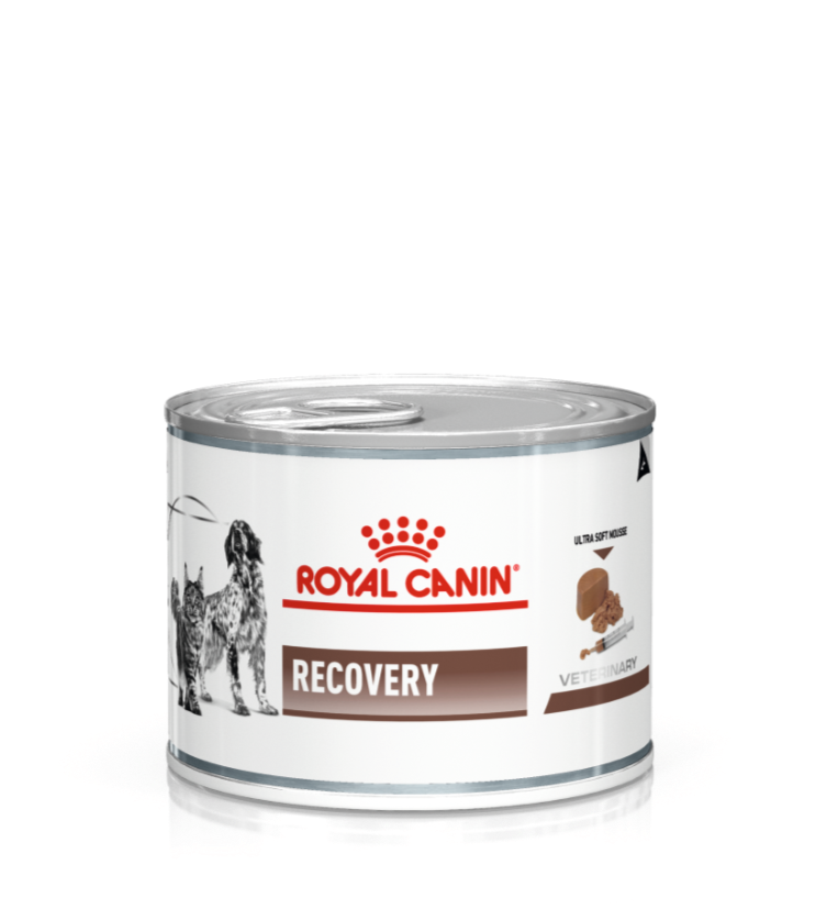 Royal Canin Recovery for Dogs and Cats Canned