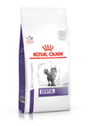 Royal Canin Dental for Cats
