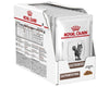 Royal Canin GastroIntestinal Pouch for Cats