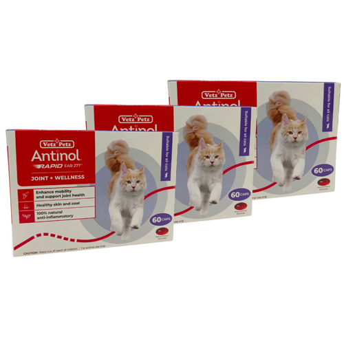 Antinol Rapid for Cats 60 Caps (Bundle of 3)