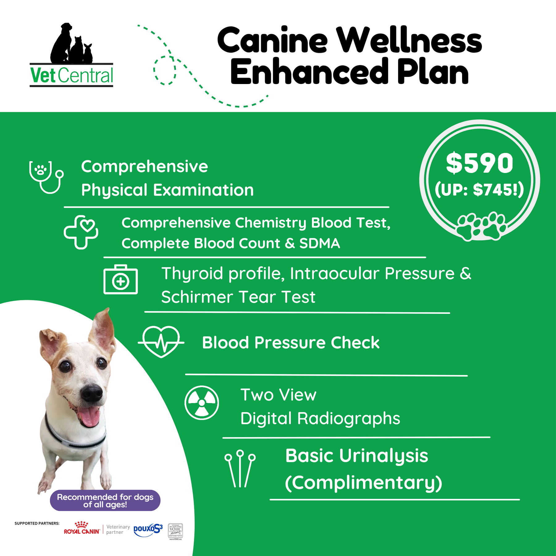 Health Screening for Dogs Vet Central