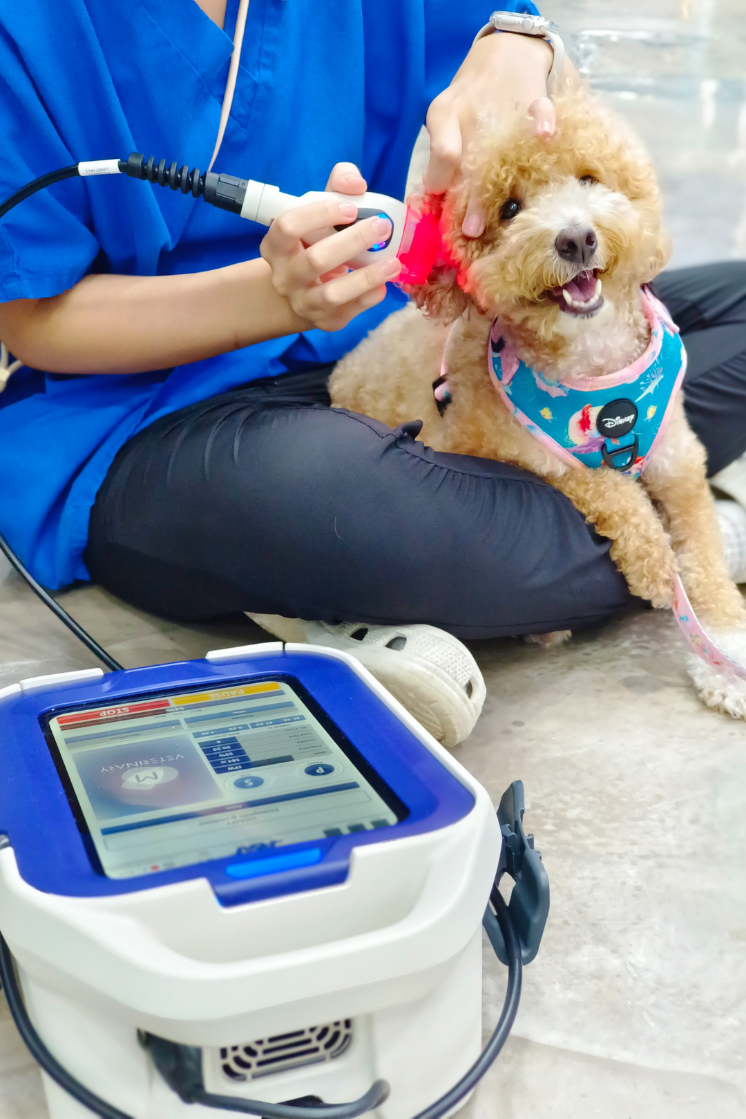 Our Clinic & Facilities – Vet Central