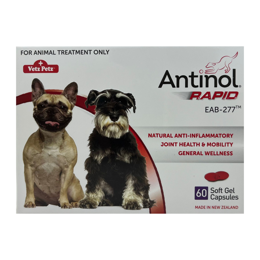 Antinol Rapid for Dogs