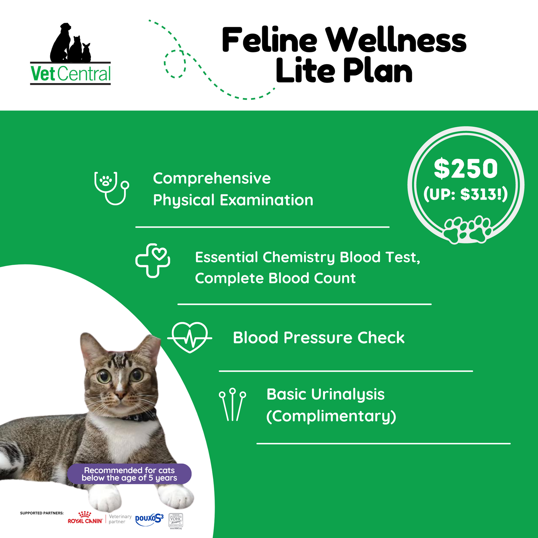 Image showcasing Feline Wellness Plan – Vet Central