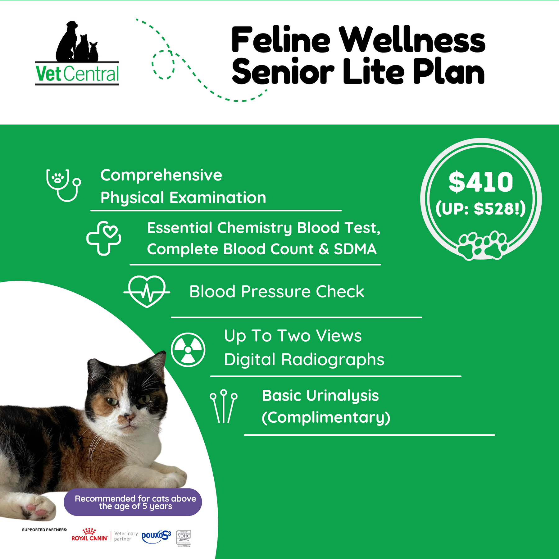 Image showcasing Feline Wellness Plan – Vet Central