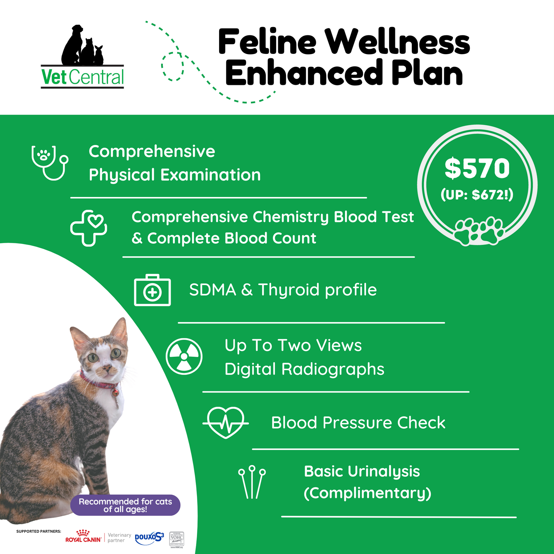 Image showcasing Feline Wellness Plan – Vet Central