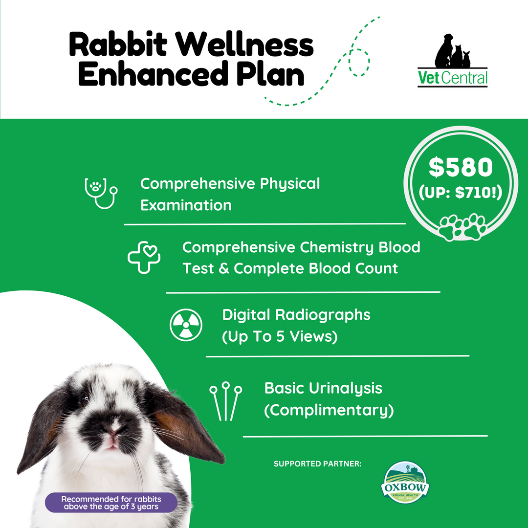 Rabbit Wellness Plan