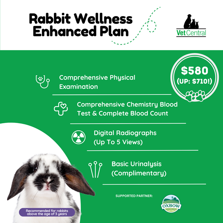 Rabbit Wellness Plan