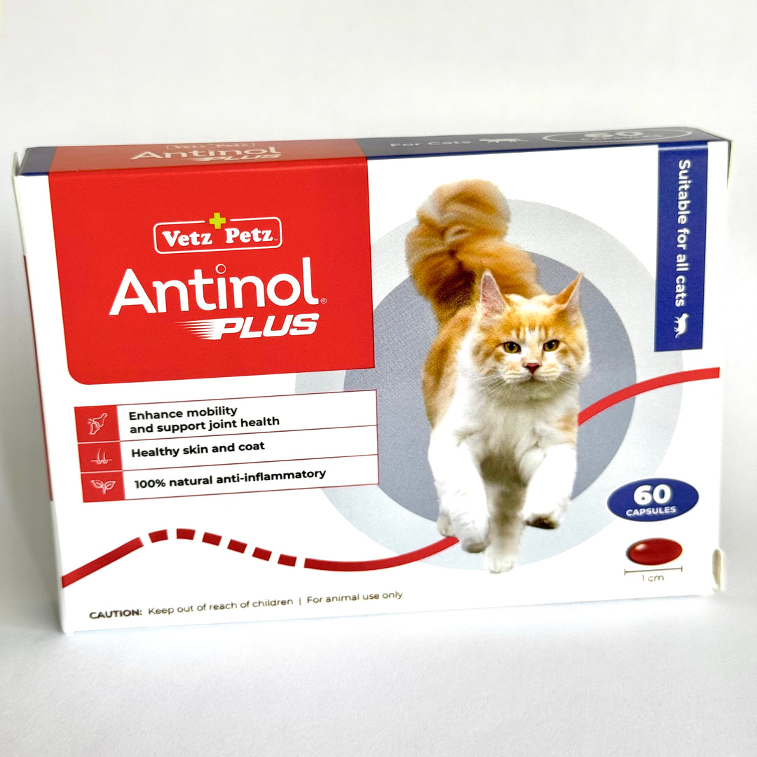 Antinol Plus for Cats