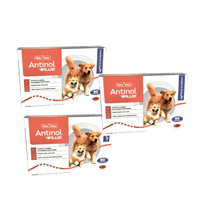 Antinol Plus for Dogs 60 Caps (Bundle of 3)