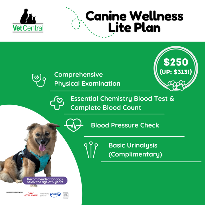 Canine Wellness Plans
