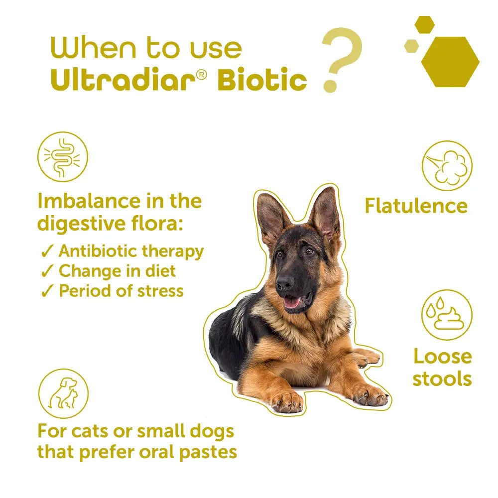 MP Labo ULTRADIAR® BIOTIC