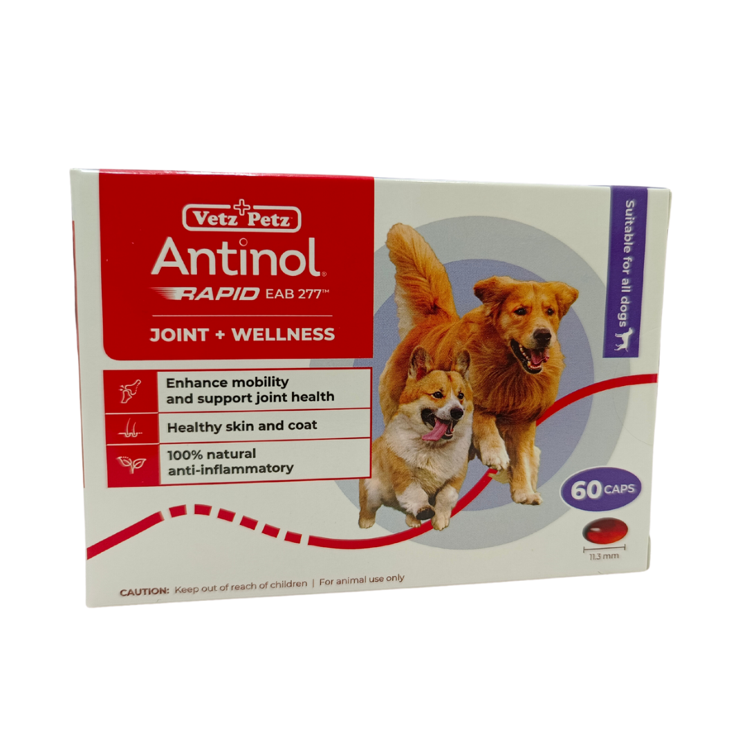 Antinol top for dogs