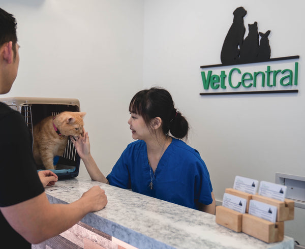 Central clearance veterinary clinic