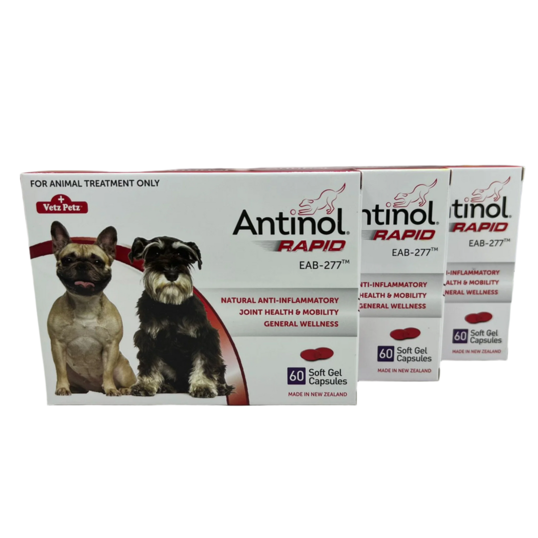 Antinol Rapid for Dogs 60 Caps (Bundle of 3)