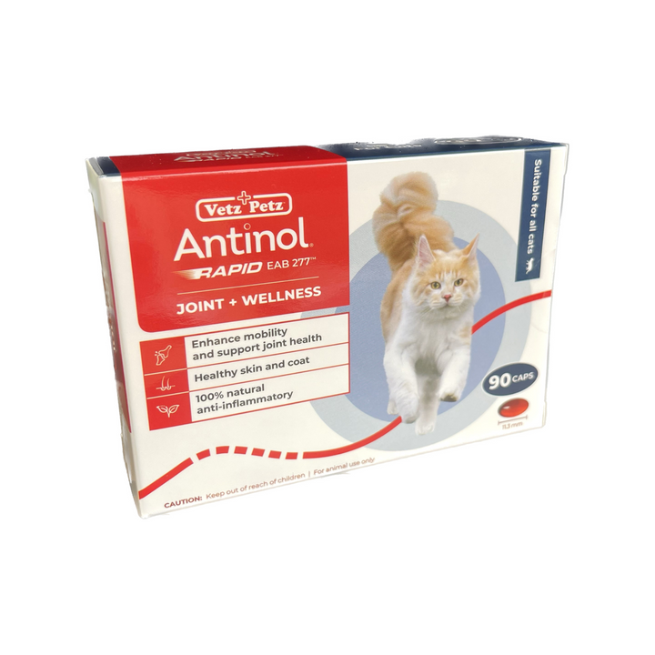 Antinol Rapid for Cats