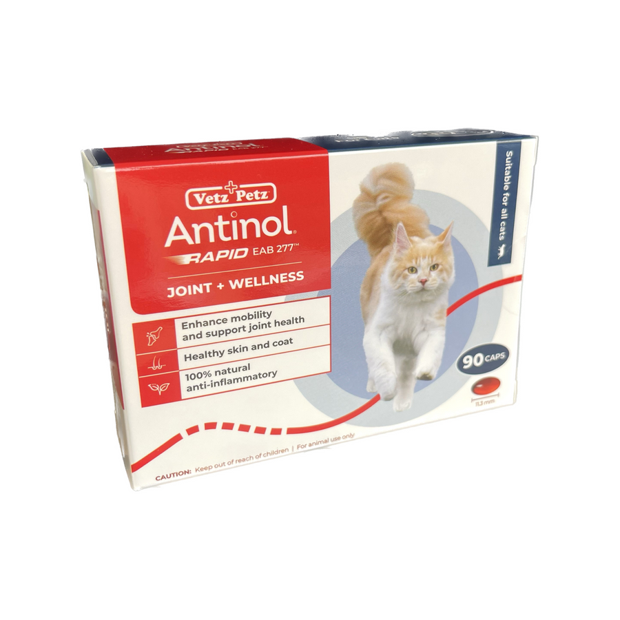 Oclacitinib Maleate Apoquel Vet Central