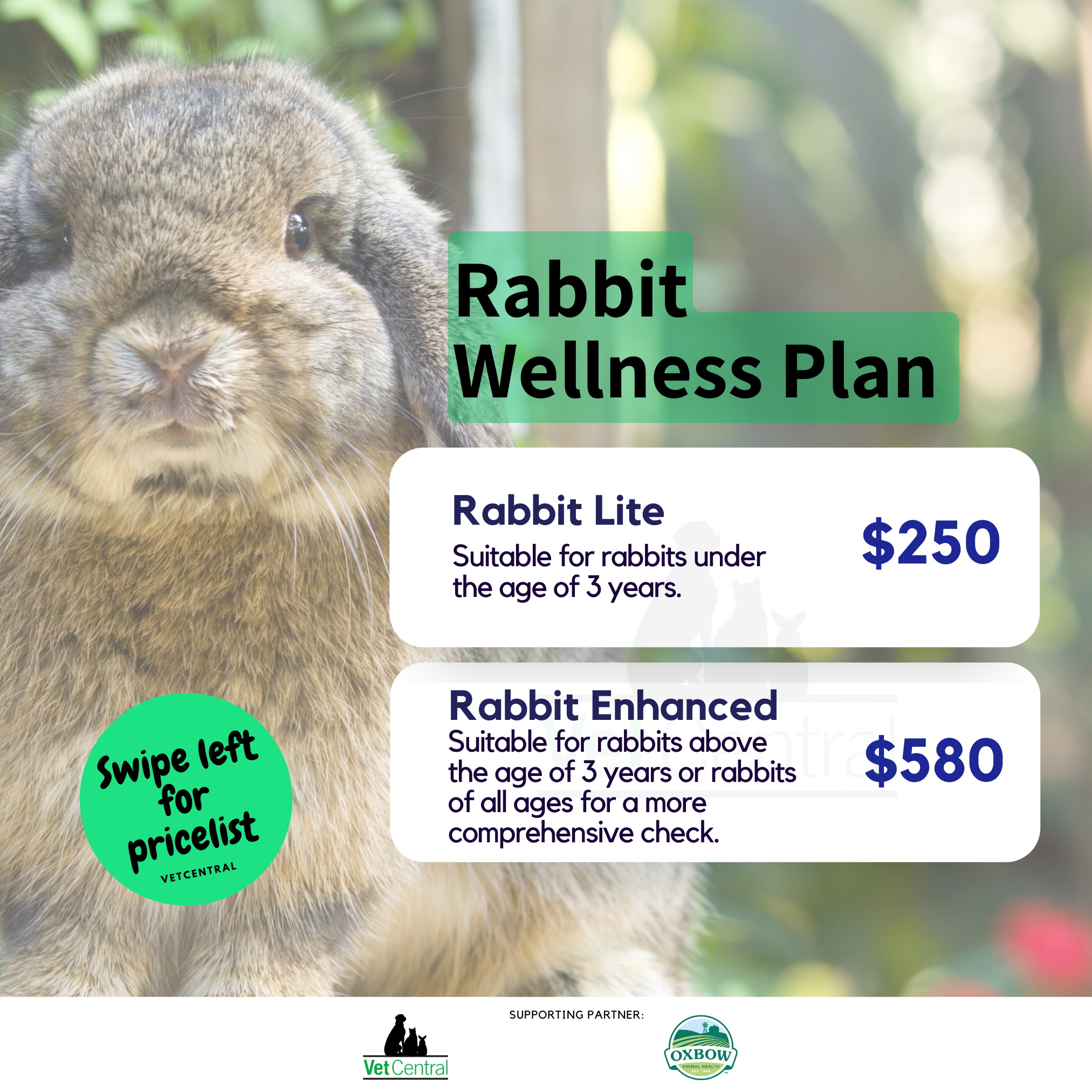Rabbit Wellness Plan – Vet Central