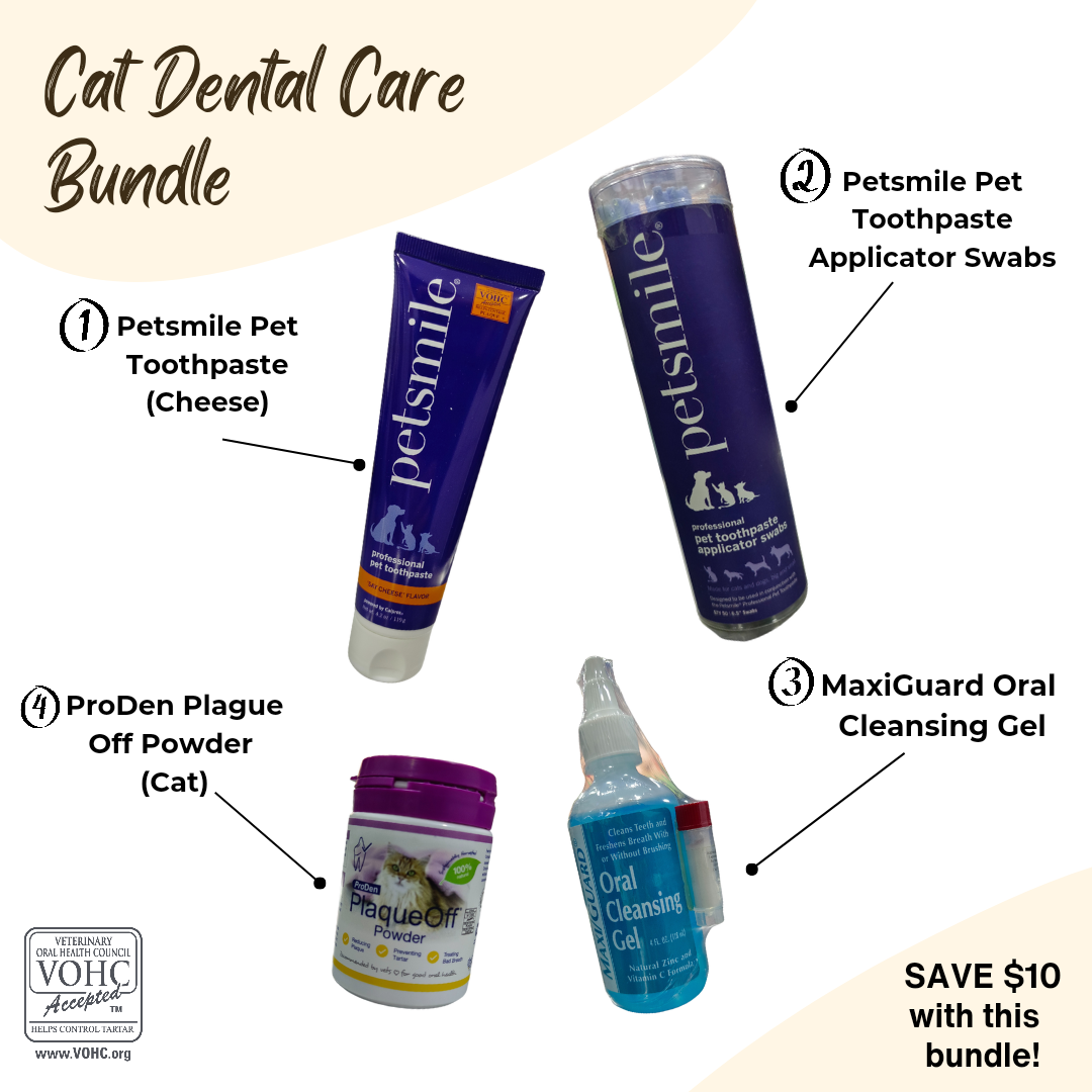 Cat Dental Bundle