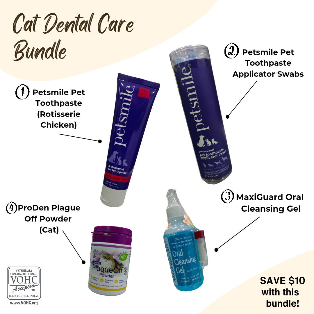 Cat Dental Bundle