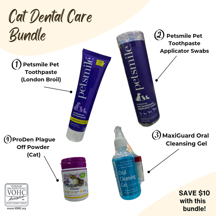 Cat Dental Bundle