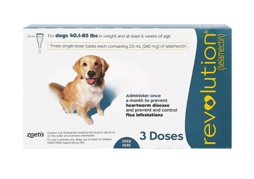 Revolution Dog Teal 20.1-40 KG (Box)
