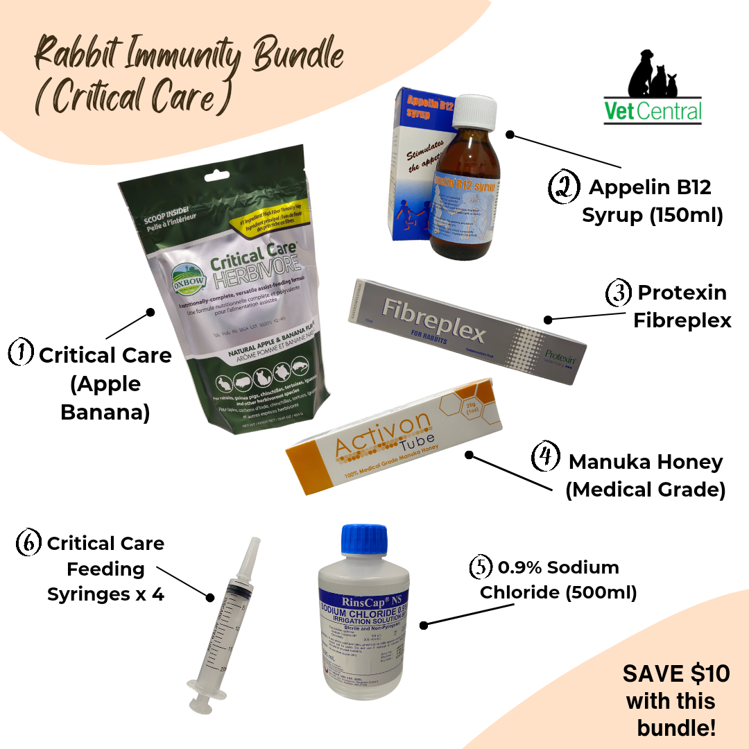 Critical care hot sale rabbit