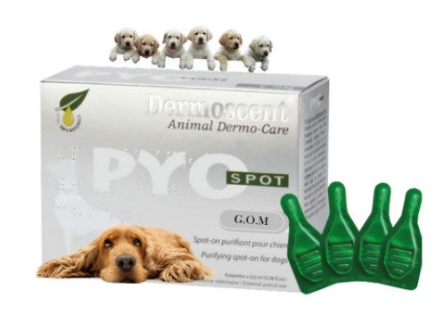 Dermoscent pyospot dogs (20-40kg)